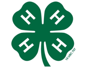 4-H Clover