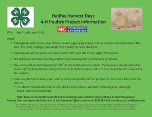 Cover photo for Halifax Harvest Days 4-H Poultry Project!
