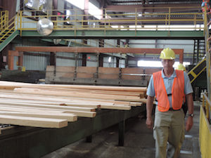 Cover photo for How Much Does Forest Industry Contribute to the NC Economy