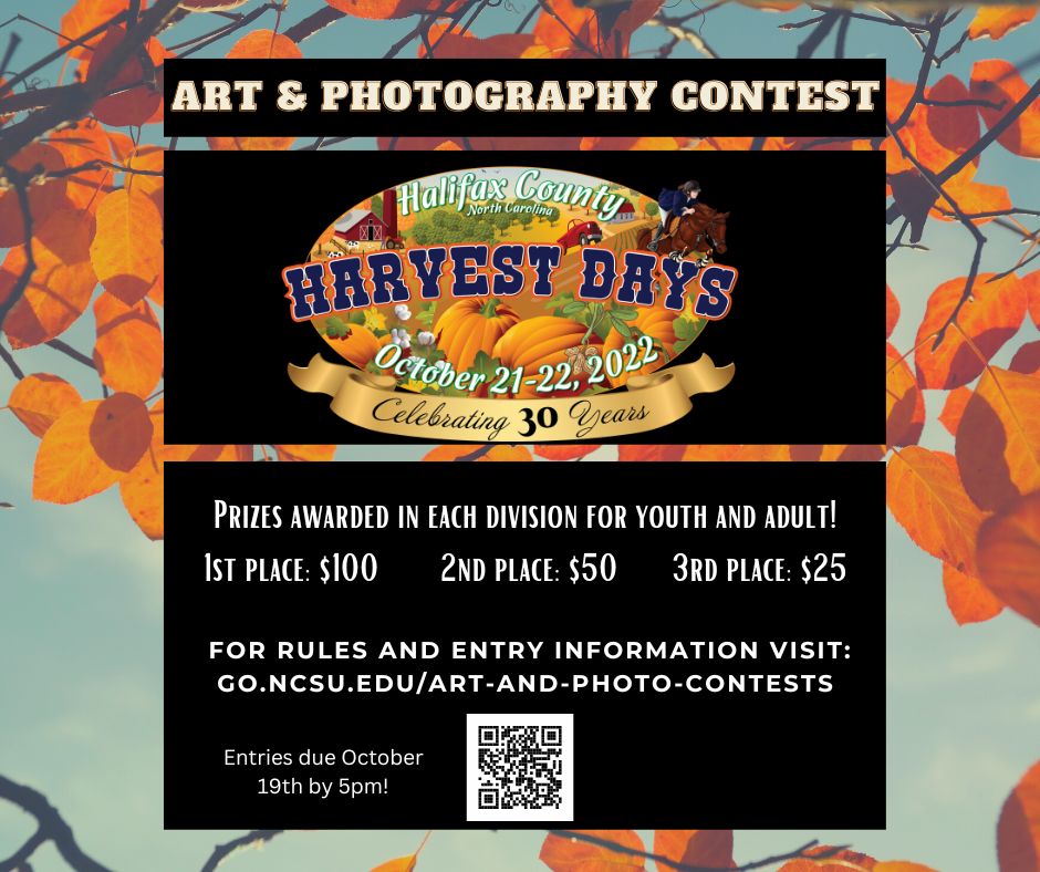 Art and Photography Contest poster