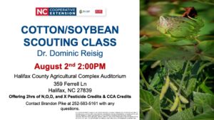 Cover photo for Cotton/Soybean Scouting School