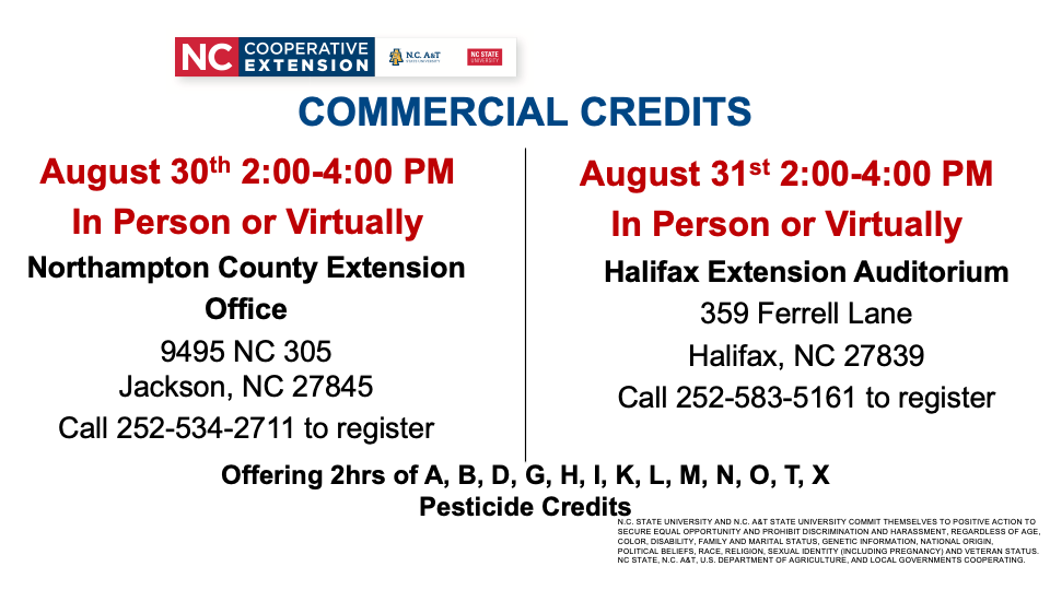 Commercial Credits, August 30th 2:00–4:00 p.m., August 31st 2:00–4:00 p.m.