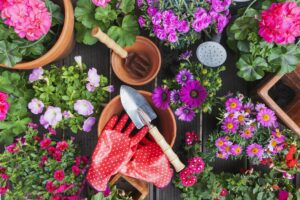 Cover photo for Horticulture Needs Survey