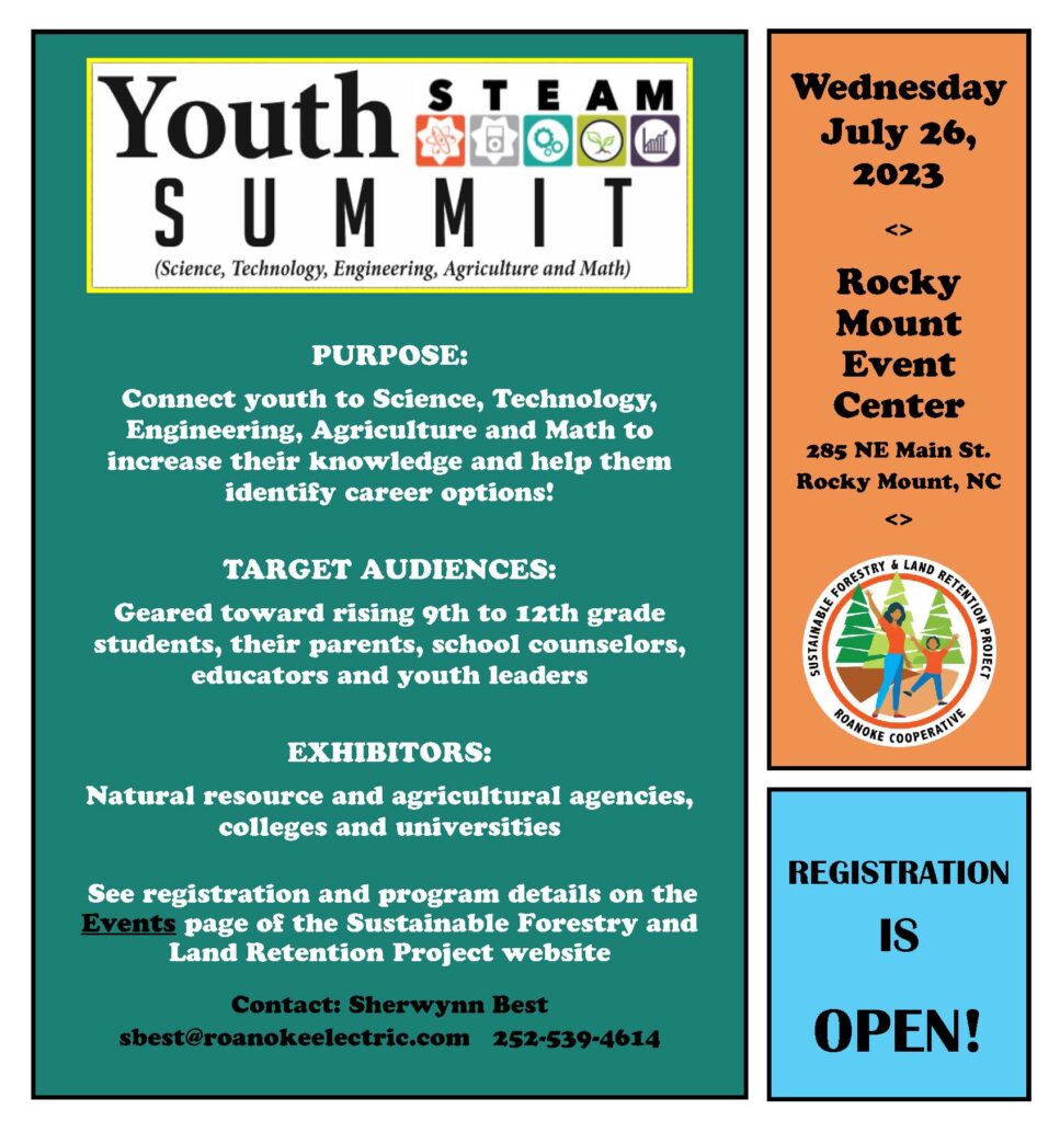Youth STEAM Summit flyer