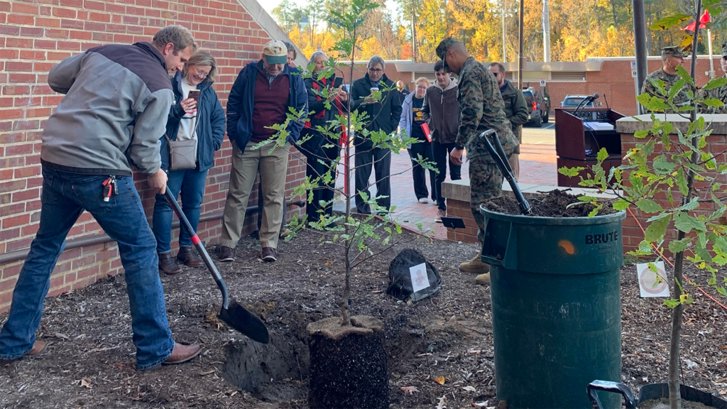 A group of people plant a tree together.