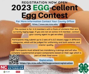Cover photo for 2023 Egg-Cellent Egg Contest - Registration OPEN!
