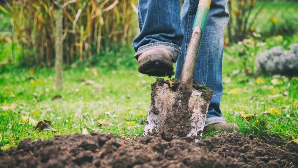 close up of someone pressing shovel into dirt with foot