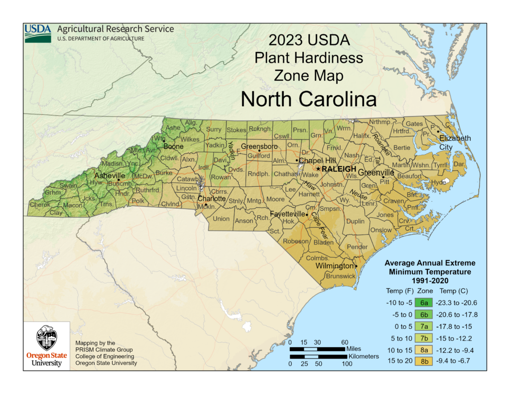 2023 USDA Plant Hardiness Zone Map of North Carolina