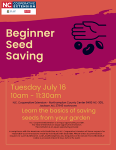 Cover photo for Beginner Seed Saving Class