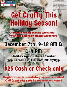 Cover photo for Wreath Making Workshop