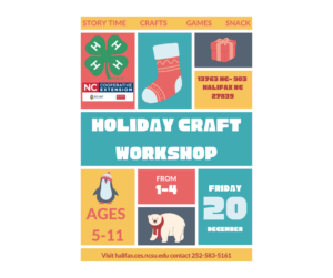 Cover photo for Holiday Craft Workshop